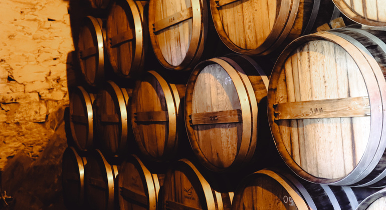 Private Tour durch das Douro-Tal mit Mittagessen, zwei Weinkellereien und Kreuzfahrt Portugal — #18