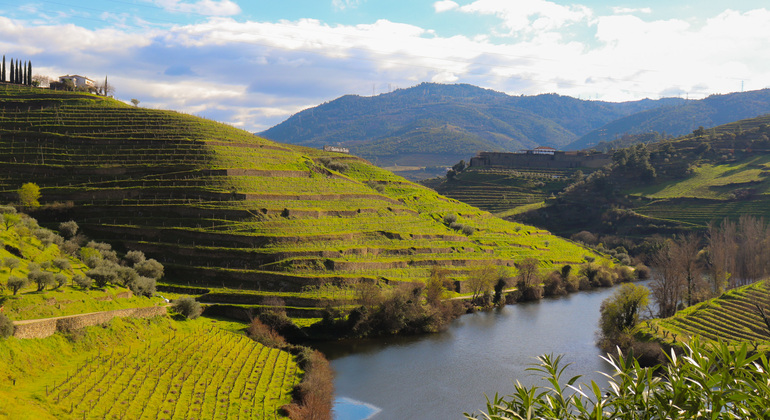 Private Tour durch das Douro-Tal mit Mittagessen, zwei Weinkellereien und Kreuzfahrt Portugal — #19