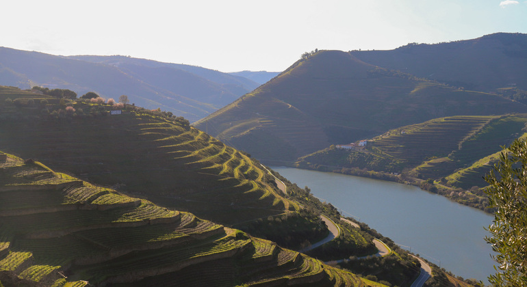 Private Tour durch das Douro-Tal mit Mittagessen, zwei Weinkellereien und Kreuzfahrt Portugal — #21