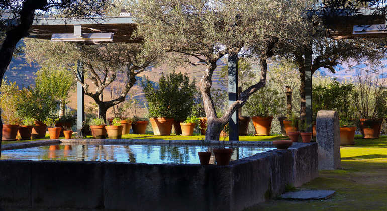 Private Tour durch das Douro-Tal mit Mittagessen, zwei Weinkellereien und Kreuzfahrt Portugal — #22