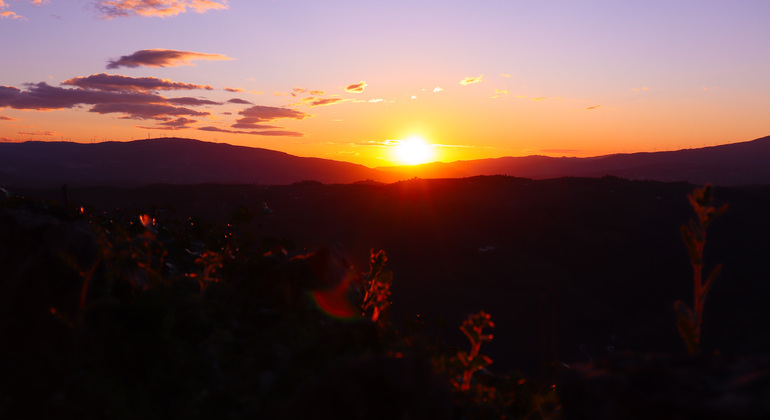 Private Tour durch das Douro-Tal mit Mittagessen, zwei Weinkellereien und Kreuzfahrt Portugal — #24