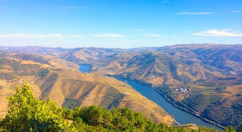 Private Tour durch das Douro-Tal mit Mittagessen, zwei Weinkellereien und Kreuzfahrt Portugal — #25