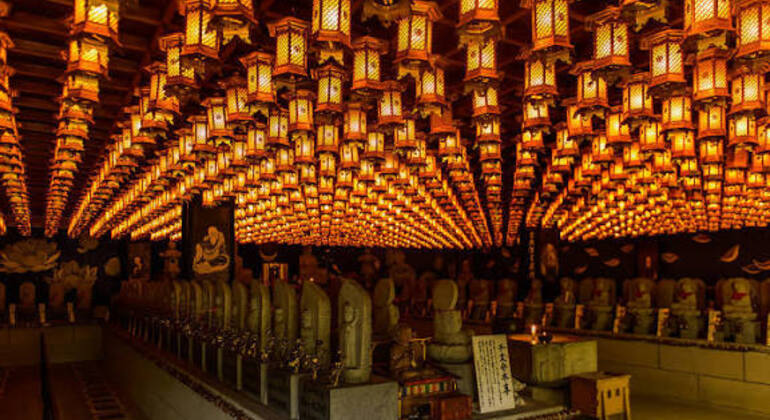 Miyajima Free Walking Tour Japão — #6