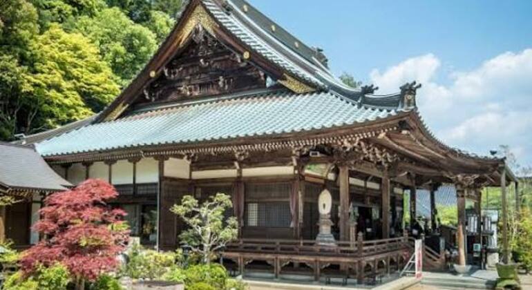 Miyajima Free Walking Tour Japão — #7