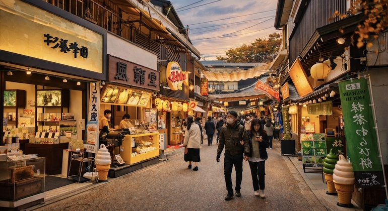 Miyajima Free Walking Tour Japan &mdash; #8