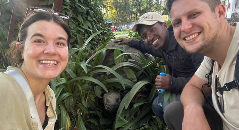 Arusha Free Tour: History, Culture & Hidden Gems Tanzania — #3