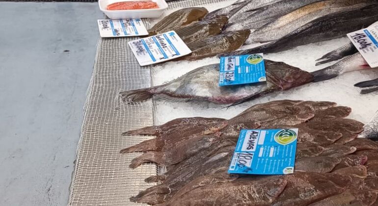 Almoço típico no Mercado: Visita à Fábrica de Conservas Organizado por Charming Tours