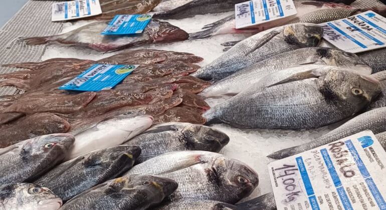 Typical Lunch at the Market Tour: Visit to the Canning Factory Portugal — #2