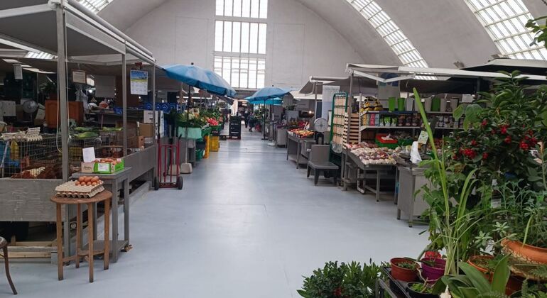 Typical Lunch at the Market Tour: Visit to the Canning Factory Portugal — #9