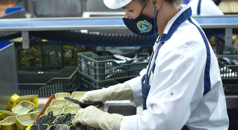 Typical Lunch at the Market Tour: Visit to the Canning Factory Portugal — #13