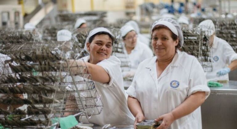 Typical Lunch at the Market Tour: Visit to the Canning Factory Portugal — #16