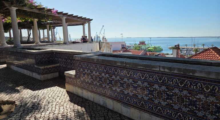 Discover Setúbal: History, Flavors & Views