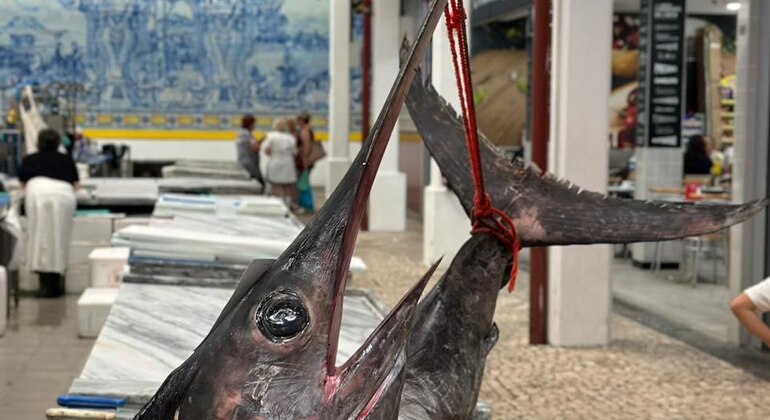 free-walking-tour-around-setubal-es-3