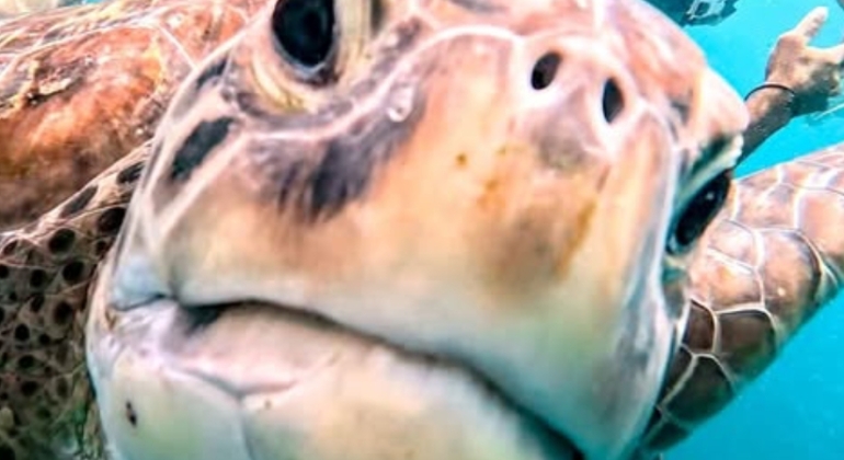 mindelo-island-tour-en-1