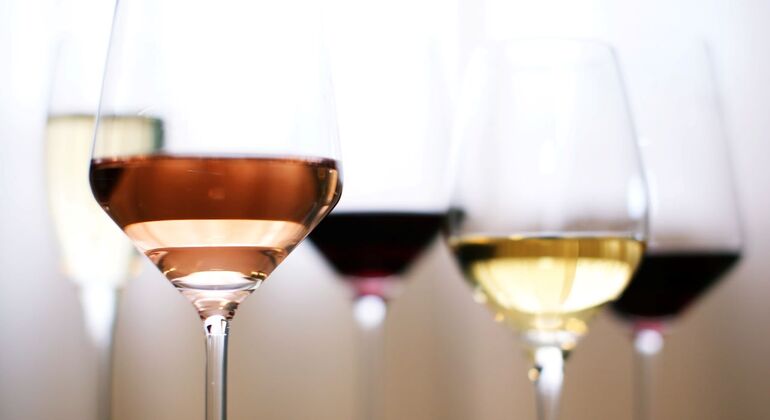 Biglietto per il Museo dell'esperienza del vino e crociera sul fiume Douro