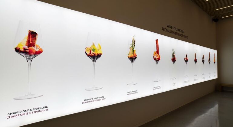 Billet pour le musée de l'expérience du vin et la croisière sur le fleuve Douro Portugal &mdash; #2