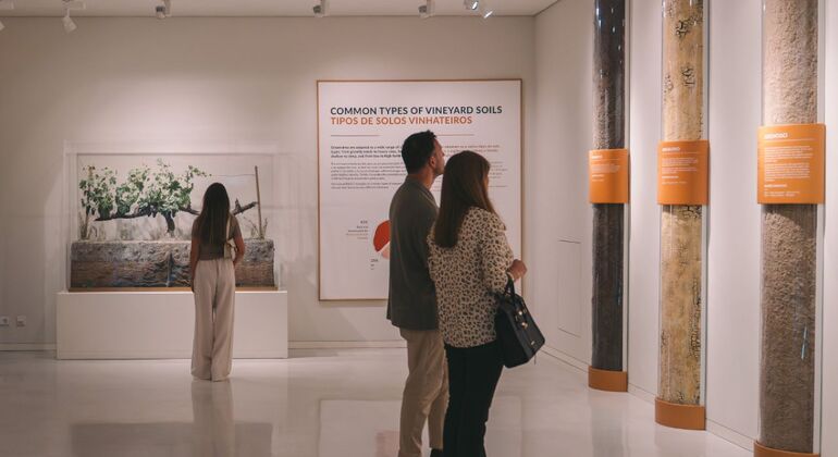 Billet pour le musée de l'expérience du vin et la croisière sur le fleuve Douro Portugal &mdash; #4