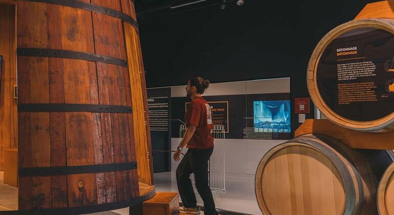 Billet pour le musée de l'expérience du vin et la croisière sur le fleuve Douro Portugal &mdash; #5