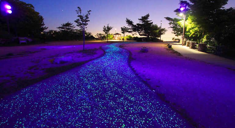 night-tour-of-rokko-in-kobe-en-1