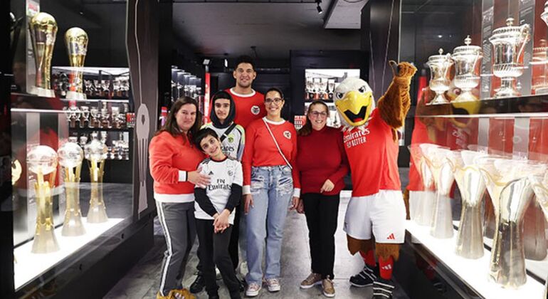 Ticket to visit Estádio da Luz + Museum Portugal &mdash; #2