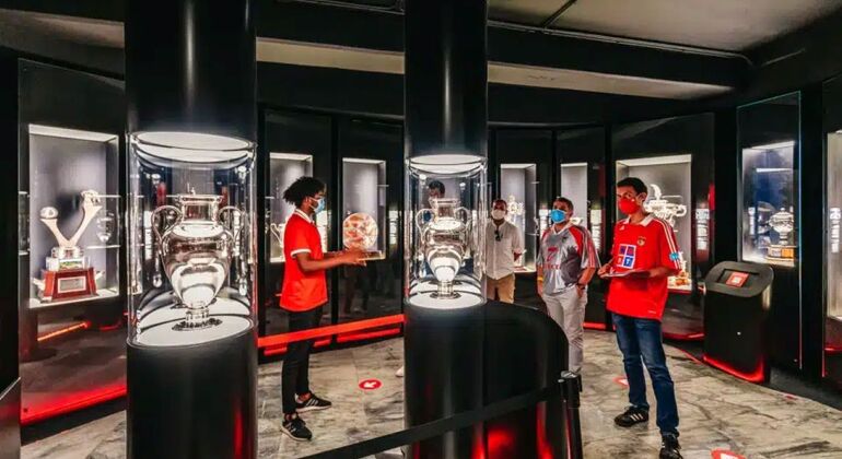 Ticket to visit Estádio da Luz + Museum Portugal &mdash; #3