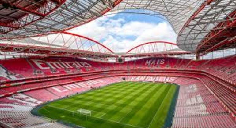 Ticket to visit Estádio da Luz + Museum Portugal &mdash; #6