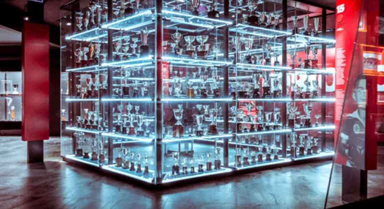 Ticket to visit Estádio da Luz + Museum Portugal &mdash; #9