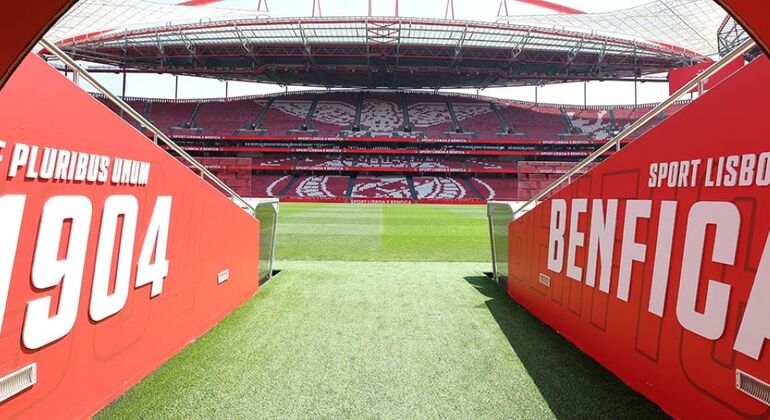 Ticket to visit Estádio da Luz + Museum Portugal &mdash; #11