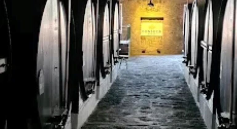 Laboratorio di cioccolato e vino di Porto e tour della cantina