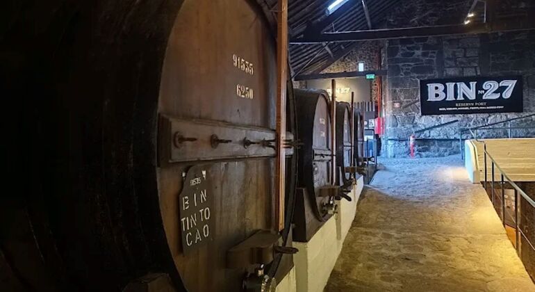 Atelier sur le chocolat et le vin de Porto et visite de la cave Portugal &mdash; #3