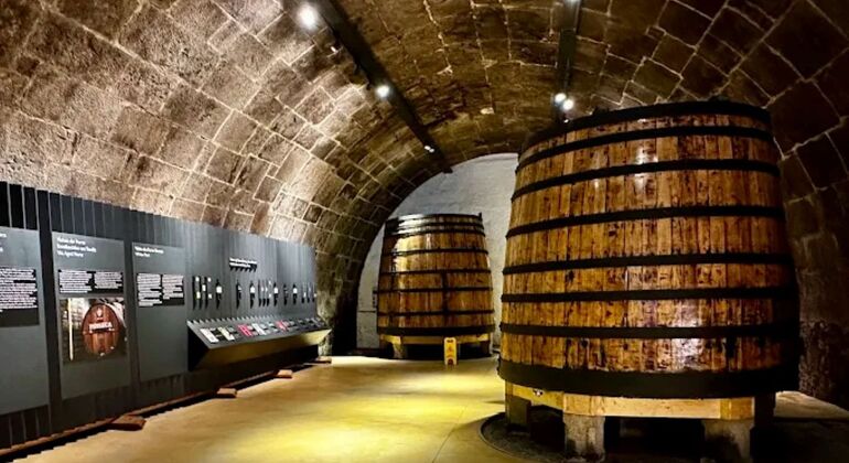 Atelier sur le chocolat et le vin de Porto et visite de la cave Portugal &mdash; #5