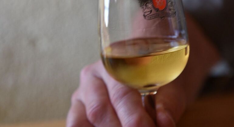 Tasting of two Port Wines and Pastel de Nata Portugal &mdash; #6