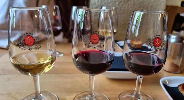 Tasting of two Port Wines and Pastel de Nata Portugal &mdash; #11