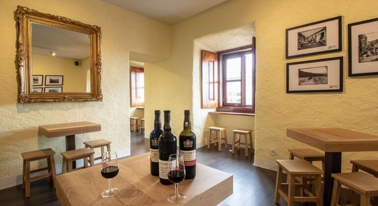 Tasting of two Port Wines and Pastel de Nata Portugal &mdash; #13