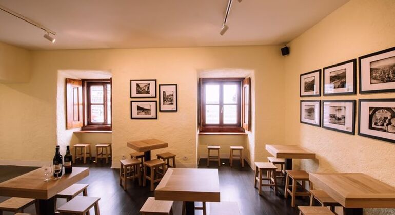 Tasting of two Port Wines and Pastel de Nata Portugal &mdash; #14