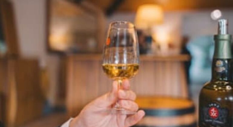 Tasting of two Port Wines and Pastel de Nata Portugal &mdash; #21