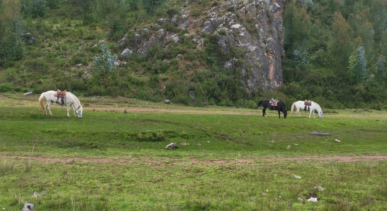 Reiten auf den Spuren der Vorfahren in Cusco: Tempel der Inkas Peru — #12
