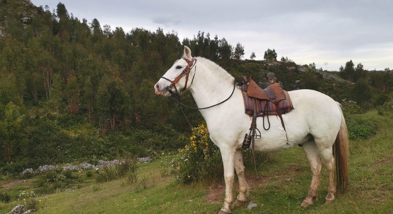 Reiten auf den Spuren der Vorfahren in Cusco: Tempel der Inkas Peru — #19