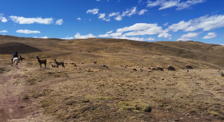 Reiten auf den Spuren der Vorfahren in Cusco: Tempel der Inkas Peru — #28