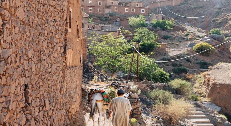 Free Walking Tour around the Atlas Mountains and berber Villages  Morocco &mdash; #2