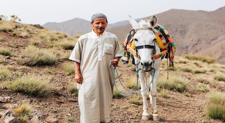 Free Walking Tour around the Atlas Mountains and berber Villages  Morocco &mdash; #7