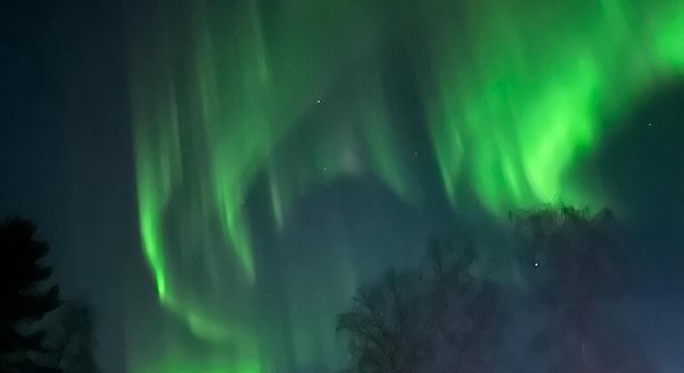 laavus-auroras-and-lots-of-nature-es-1