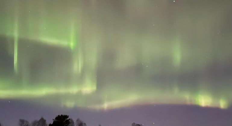 laavus-auroras-and-lots-of-nature-es-2