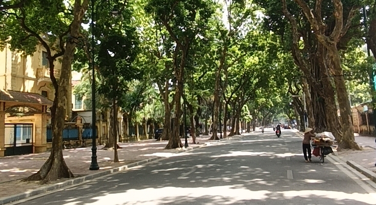 Two feet around Old Quarter & French Quarter  Vietnam &mdash; #12