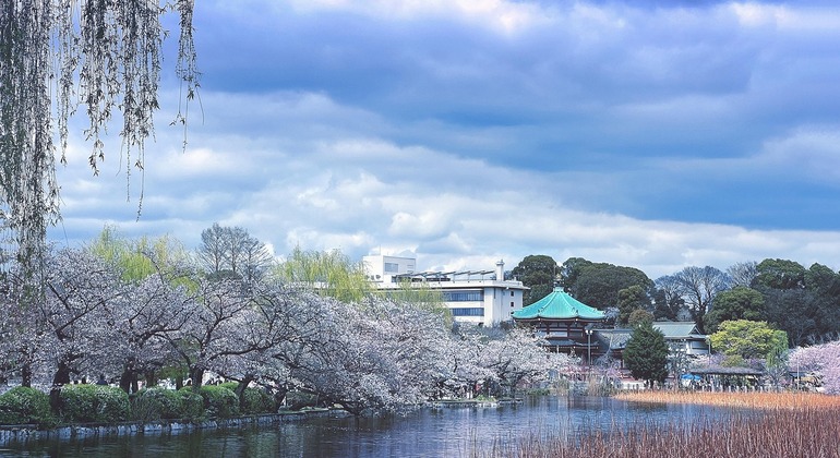 Von den mystischen Tempeln in Ueno zu Akihabaras Neon:  Eine Geschichte von zwei Tokios