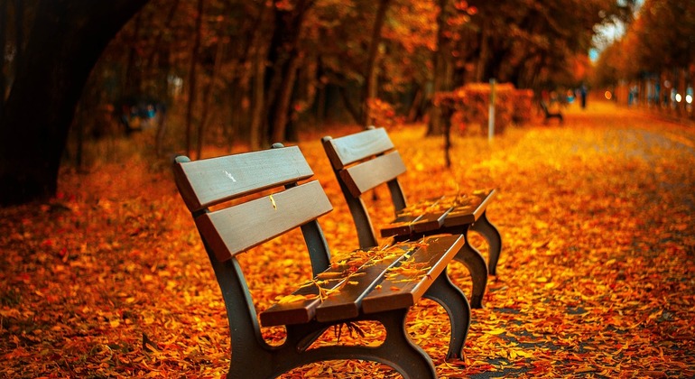 From Ueno’s Mystic Temples to Akihabara’s Neon:  A Tale of Two Tokyos Japan &mdash; #6