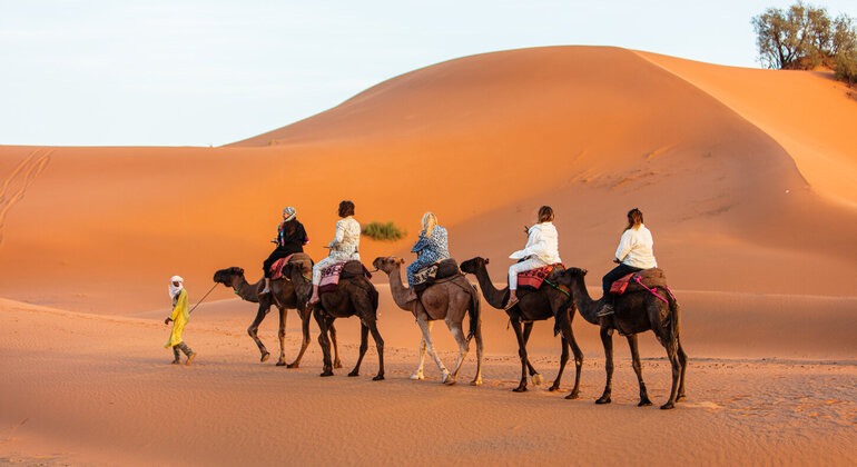 desert-discovery-tour-to-nomads-khamlia-en-1