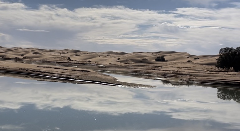 Da Merzouga: tour alla scoperta del deserto per visitare i nomadi e la Khamlia Marocco &mdash; #7