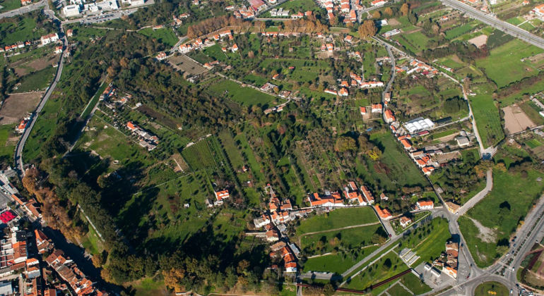 tour- of-the-best-of-viseu-with-a-local-es-7