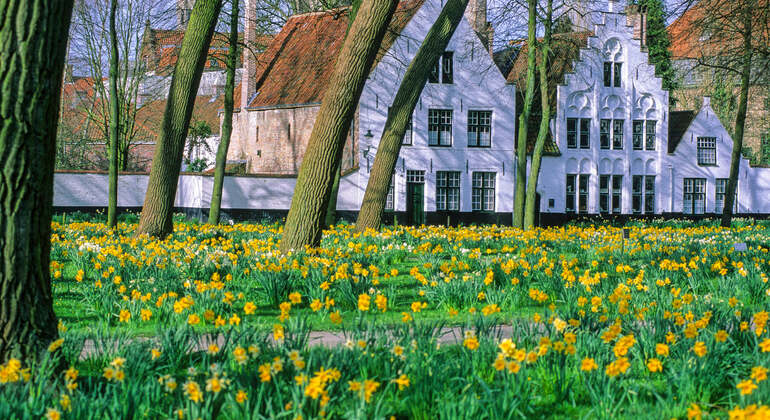 Audio Guide App: Bruges City Walk Belgium &mdash; #14